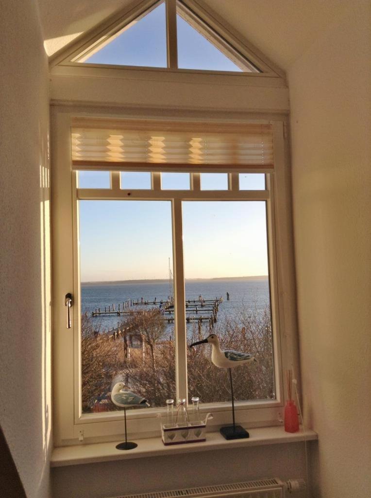 Fewo 27 Strandnahe Ferienwohnung Marlyn Rerik Bagian luar foto
