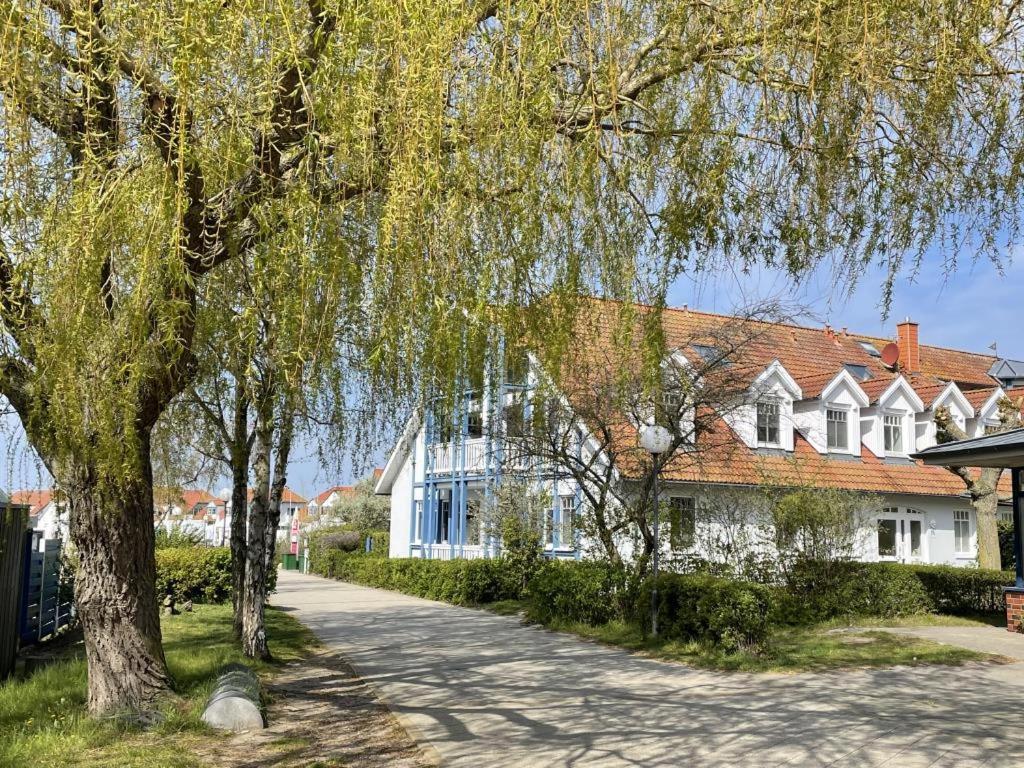 Fewo 27 Strandnahe Ferienwohnung Marlyn Rerik Bagian luar foto
