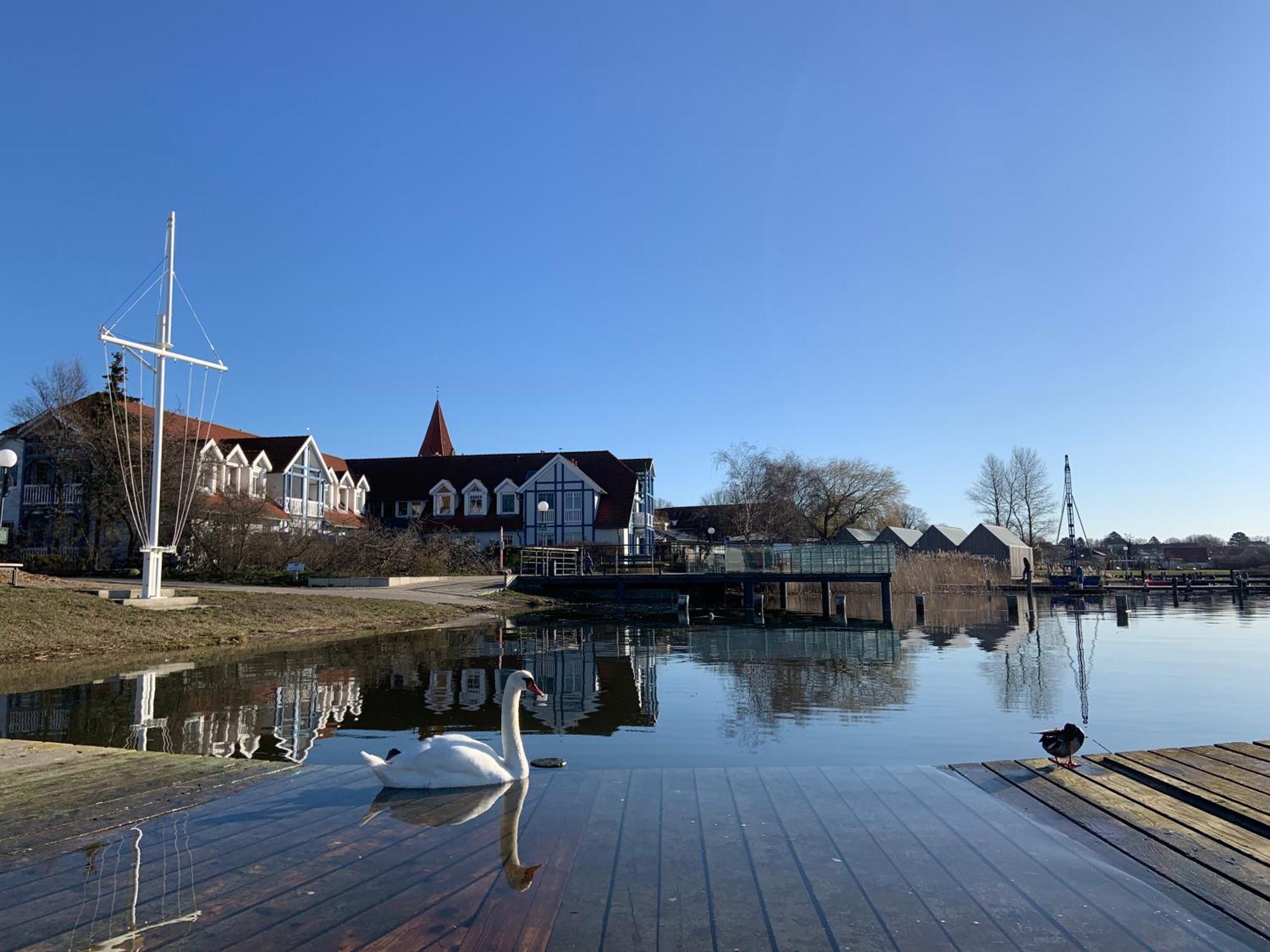 Fewo 27 Strandnahe Ferienwohnung Marlyn Rerik Bagian luar foto